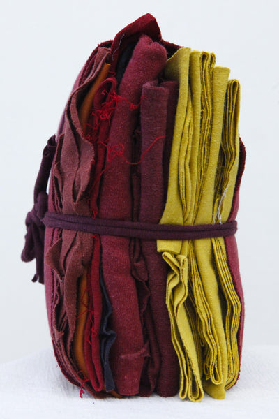 Fall Colors Fabric Craft Bundle