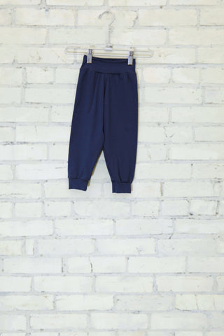 Navy Jamie Joggers (2-3 Years)